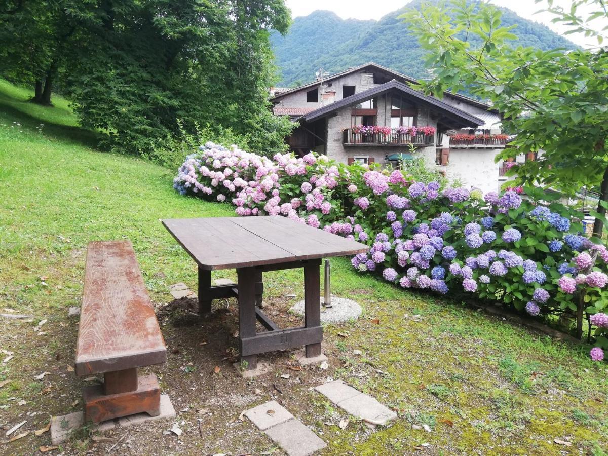 Apartamento Antica Casa Ortensia