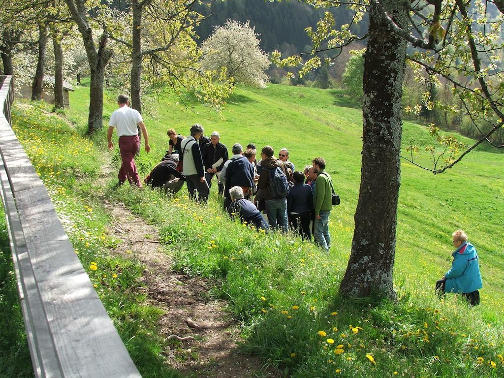 Antica Casa Ortensia
