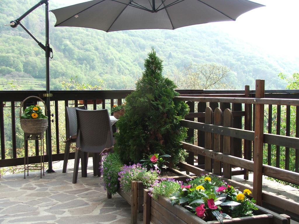 Antica Casa Ortensia Apartment *