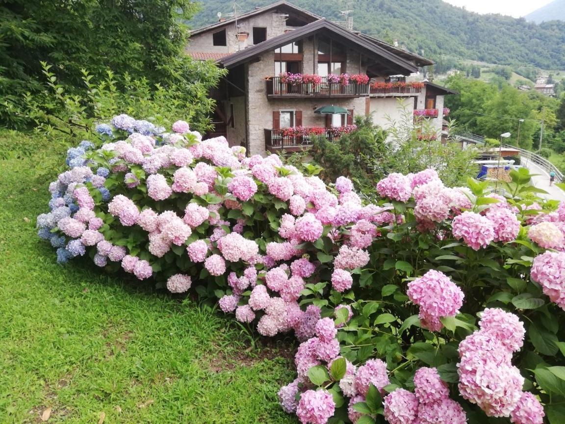 Apartment Antica Casa Ortensia Riva del Garda